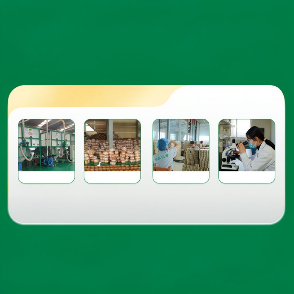 แท่งม็อกซ่าคาร์บอนไร้ควัน สำหร - Therapy Health And Wellness บทวิจารณ์และราคา